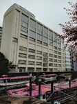 子どもの自主性を大切にするために。